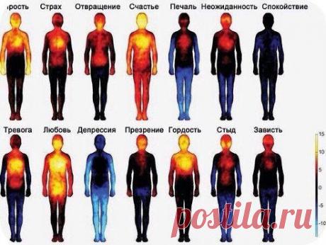 разные люди и чувства