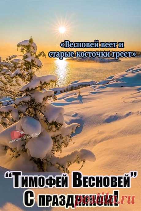 Тимофей Весновей! С праздником!