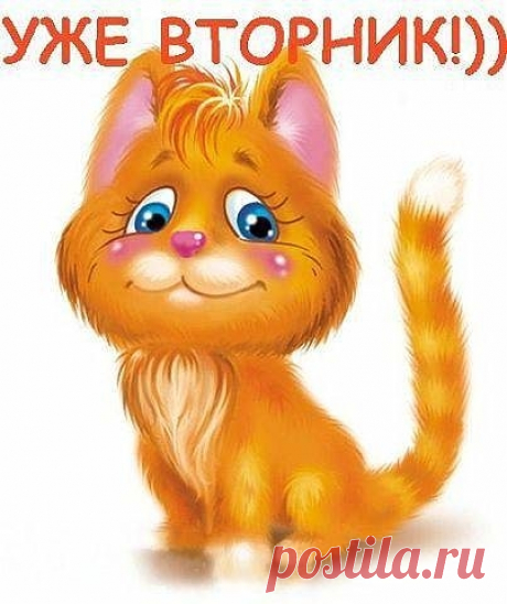 oe_8ab687487a694467a7258fac7996ee92.jpg (403×480)