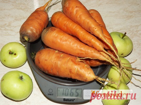 Икра из моркови на зиму: рецепты с луком через мясорубку, с помидорами, перцем, чесноком, свеклой, томатной пастой