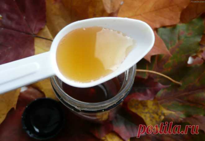 Удивительно полезное растение, которое любую свалку превратит в оазис!