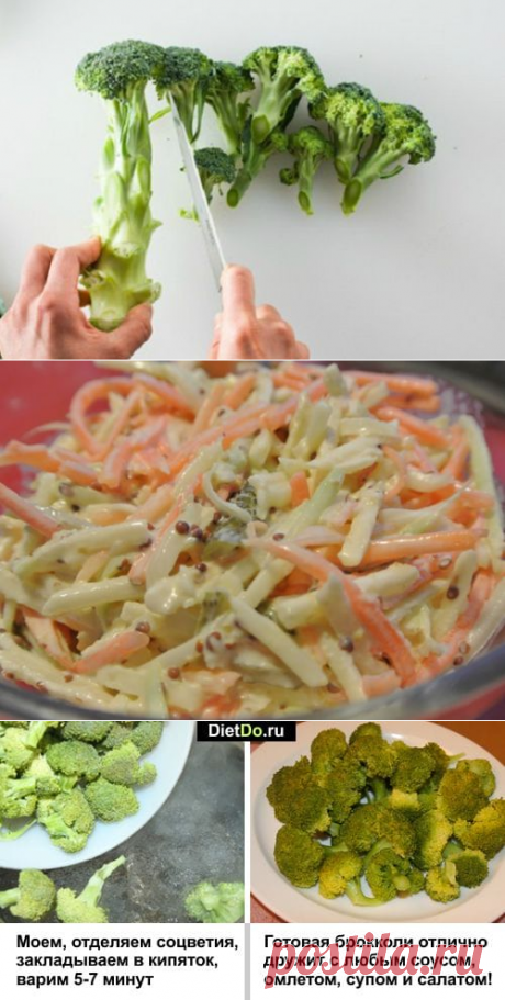 Брокколи — польза и вред для здоровья, как приготовить быстро и вкусно