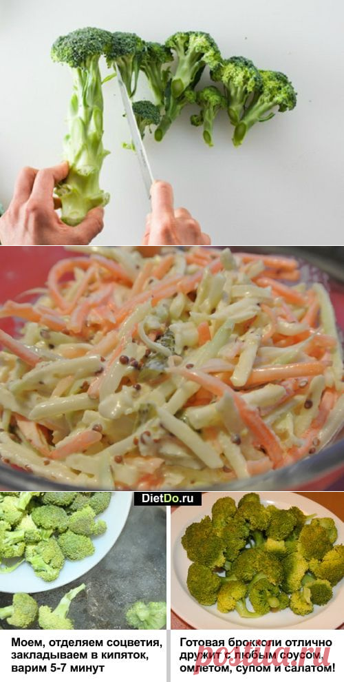 Брокколи — польза и вред для здоровья, как приготовить быстро и вкусно