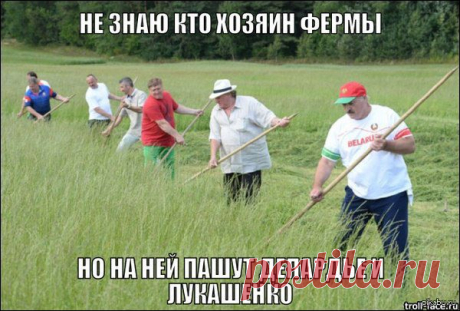 Байнет шутит: выборы в маленькой Швейцарии | БЕЛОРУССКИЕ НОВОСТИ