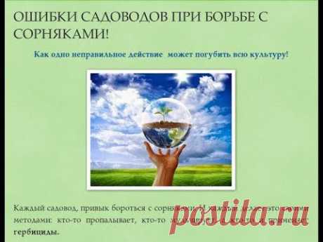 Сорняки и Мульчирование в Природном земледелии! Шаг 2.