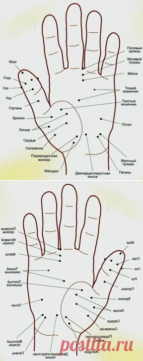 3 непрочитанных чата