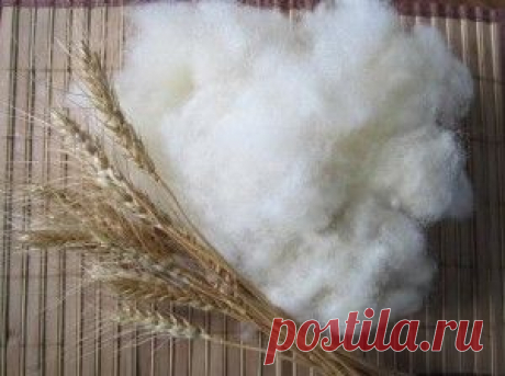 Валяние Первичная обработка шерсти