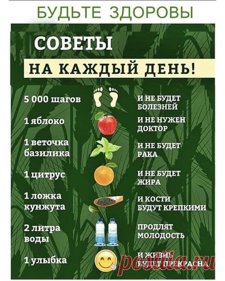 Полезные советы🌿 в Instagram: «Простые и полезные советы для здоровья на каждый день 😜» Полезные советы🌿 (@fitoterapevt1) добавил(-а) фото в свой аккаунт Instagram: “Простые и полезные советы для здоровья на каждый день 😜”