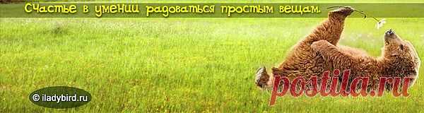 Радуйся - мелочам!