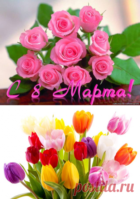 Лучшие поздравления в стихах на 8 марта – Международный женский день | Imenno.ru