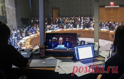 Постпредство РФ назвало ударом по репутации США каждое их вето в СБ ООН. Заместитель постоянного представителя России при всемирной организации Дмитрий Полянский предположил, что очередное вето Вашингтон наложит на представленный Алжиром проект резолюции с требованием немедленно прекратить огонь в Газе