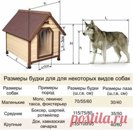 Для того, чтобы правильно выбрать готовую будку для собак или сделать  будку для собаки своими руками, мы должны- замерить:
-длину корпуса собаки:
-ширину груди собаки:
-высоту холки собаки:
-расстояние от земли до нижней точки грудины собаки..........