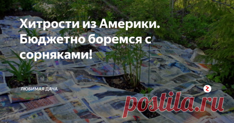 Хитрости из Америки. Бюджетно боремся с сорняками! Трава она везде трава и дачники всего мира спасаются от этой напасти разными способами, но вот то, как хитрят Американцы, меня удивило. Я побывала в Америке в начале 2004 года, и должна признаться от их анти-травяных лайфхаков я осталась в восторге! Мы изводим траву кипятком, уксусом, химикалиями, а наши «друзья» тем временем даже не напрягаются! Итак, делюсь самым лучшим способом избавлени