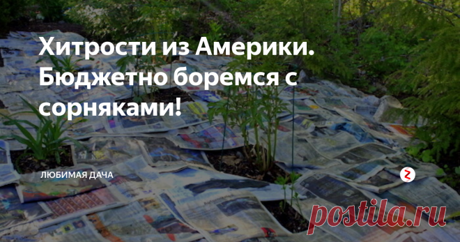 Хитрости из Америки. Бюджетно боремся с сорняками! Трава она везде трава и дачники всего мира спасаются от этой напасти разными способами, но вот то, как хитрят Американцы, меня удивило. Я побывала в Америке в начале 2004 года, и должна признаться от их анти-травяных лайфхаков я осталась в восторге! Мы изводим траву кипятком, уксусом, химикалиями, а наши «друзья» тем временем даже не напрягаются! Итак, делюсь самым лучшим способом избавлени