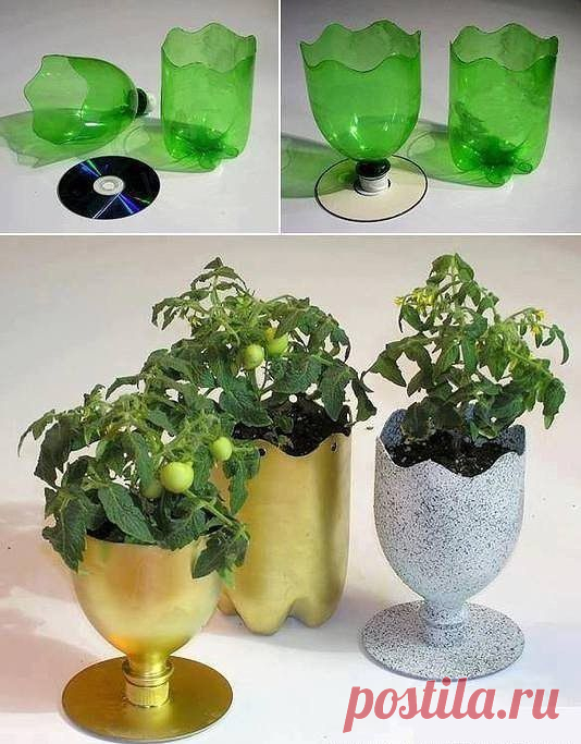 getImage (534×683)