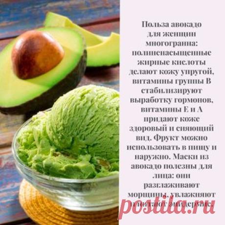 5 причин, по которым вы захотите добавить авокадо в свой ежедневный рацион