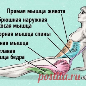 Упражнение, чтобы сжечь жир и исправить осанку - МирТесен