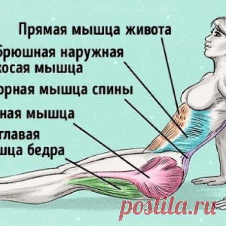 Упражнение, чтобы сжечь жир и исправить осанку - МирТесен