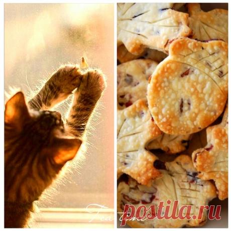 Улыбнись, открывая глаза на рассвете, и порадуйся искренне жизни лучам. Будет серым наш день или будет он светел - Повлиять на окраску под силу и нам.
~А. М. Островская~