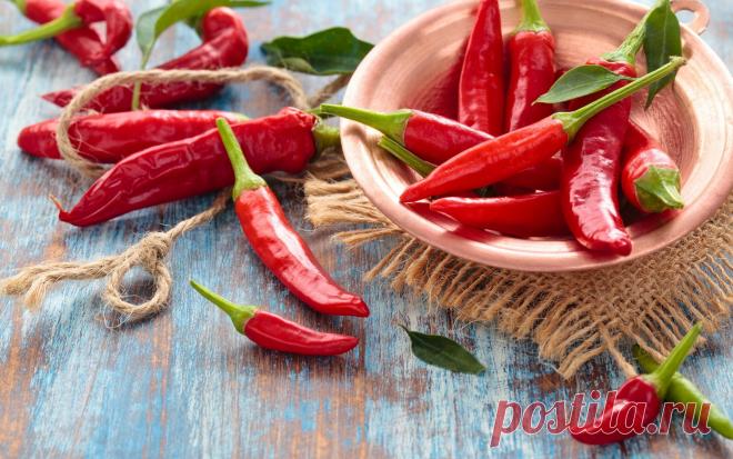 Все о перце в вопросах и ответах
Какие сорта перца подходят для выращивания в горшечной культуре? Практически у всех...
Читай дальше на сайте. Жми подробнее ➡