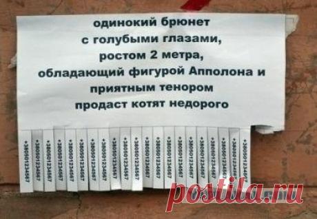 Весёлые картинки - ЯПлакалъ