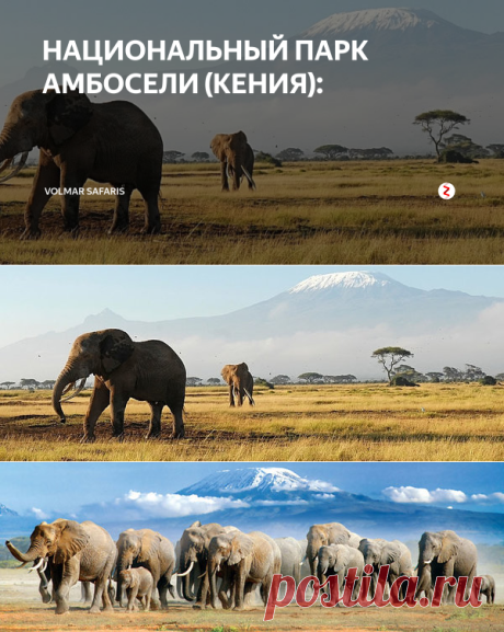 НАЦИОНАЛЬНЫЙ ПАРК АМБОСЕЛИ (КЕНИЯ): | Volmar Safaris | Яндекс Дзен