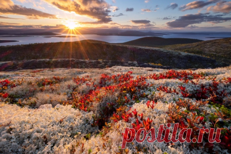 Закат над озером Имандра, Кольский полуостров. Фотограф – Игорь Скляров: nat-geo.ru/community/user/200318/