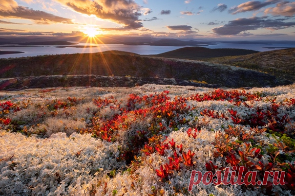 Закат над озером Имандра, Кольский полуостров. Фотограф – Игорь Скляров: nat-geo.ru/community/user/200318/