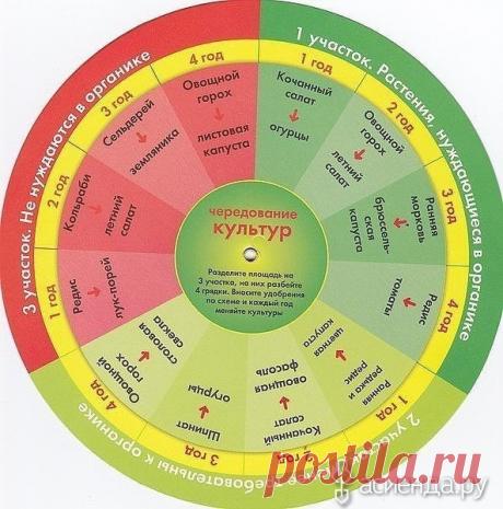 Тайны севооборота: Группа Наши грядки