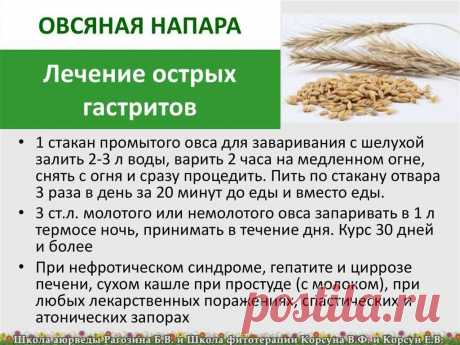 Лечение острых гастритов овсяной напарой