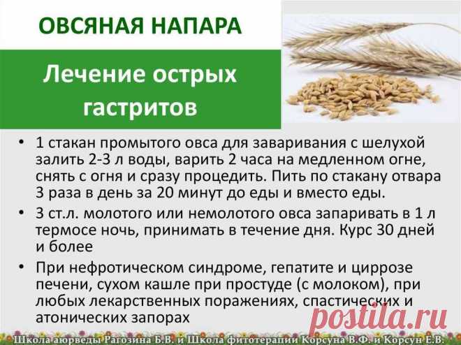 Лечение острых гастритов овсяной напарой