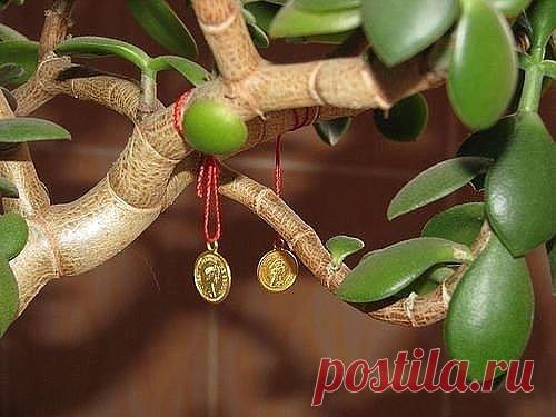 (99) Одноклассники