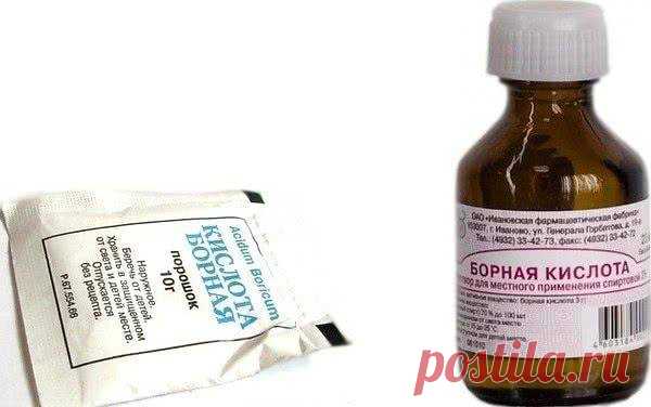 Борная кислота в огороде