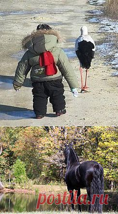 Одноклассники