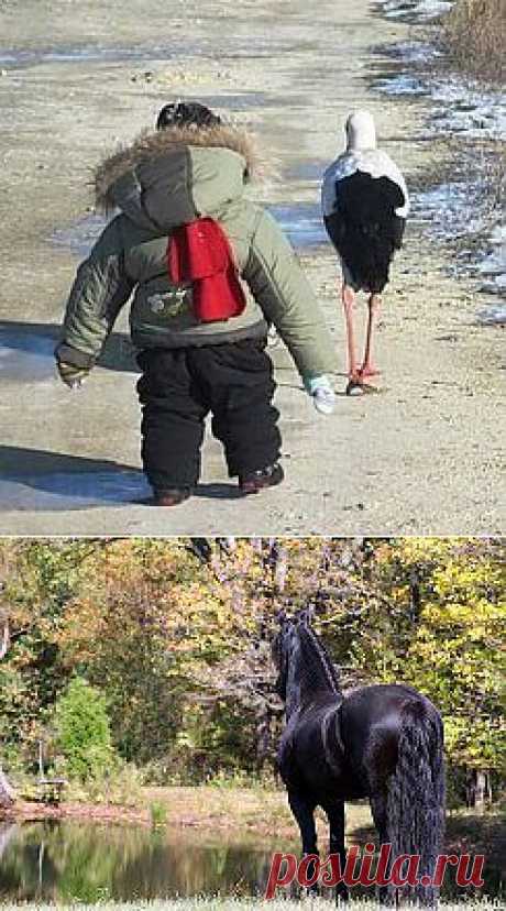 Одноклассники