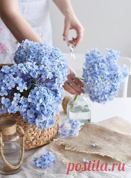 Женщина не может без весны,
Без волшебных праздников природы,
Без капели, без голубизны,
Без фантазий неуемной моды.
Женщины не могут без мечты,
И недаром говорят в народе:
Дай им волю — вырастут цветы
В каждом месте, при любой погоде!..
© Шамиль Чилугай