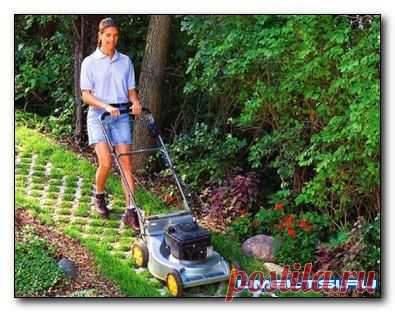 Садовые дорожки из решетчатых блоков