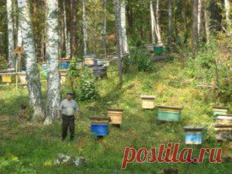 Одноклассники