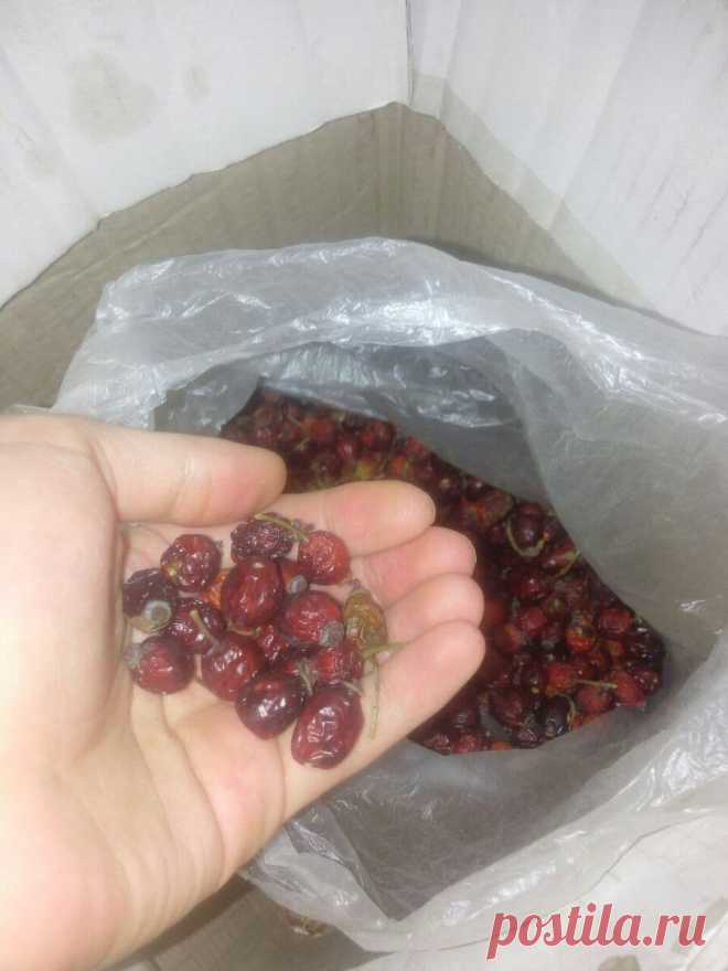 2 простых продукта, которые полезны для печени и иммуной системы. Почему 