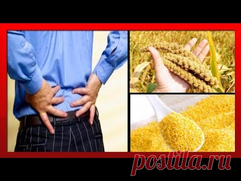 ВРАЧИ СКРЫВАЮТ, что ПОЧКИ можно вылечить БЕЗ ХИМИИ простым ПШЕНОМ / 10 способов применения ПШЕНА
