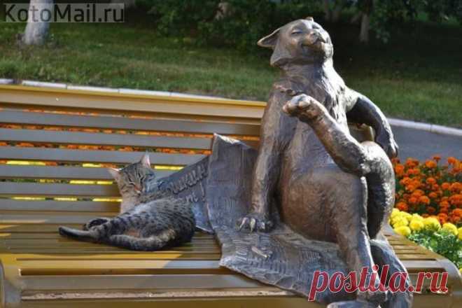 Ждать третьего будем?!