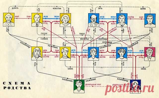 СТЕПЕНИ РОДСТВА У СЛАВЯН 
 
Свёкор — отец мужа 
Свекровь — мать мужа 
Тесть — отец жены 
 
Тёща — мать жены 
Деверь — брат мужа 
Шурин — брат жены 
Золовка — сестра мужа 
Свояченица — сестра жены 
Свояк — муж свояченицы 
Зять — муж дочери, муж сестры, муж золовки 
Сноха — жена сына по отношению к отцу 
Невестка — жена брата, жена сына для его матери, жена одного брата по 
отношению к жене другого брата; употребляется также вместо сноха, золовка, свояченица 
Сват — отец одн...