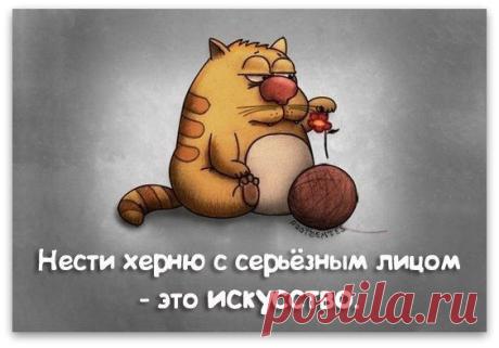 Фразочки в картинках - virtualrealty-"По ЩУЧЬЕМУ велению,по моему прошению..." - Группы Мой Мир