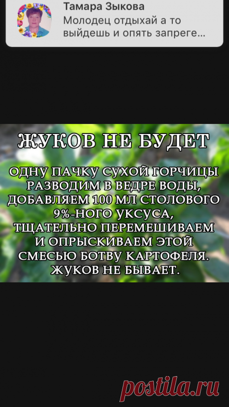 40c83c6ea71afc3efee63b8015cbcdb4.png (640×1136)