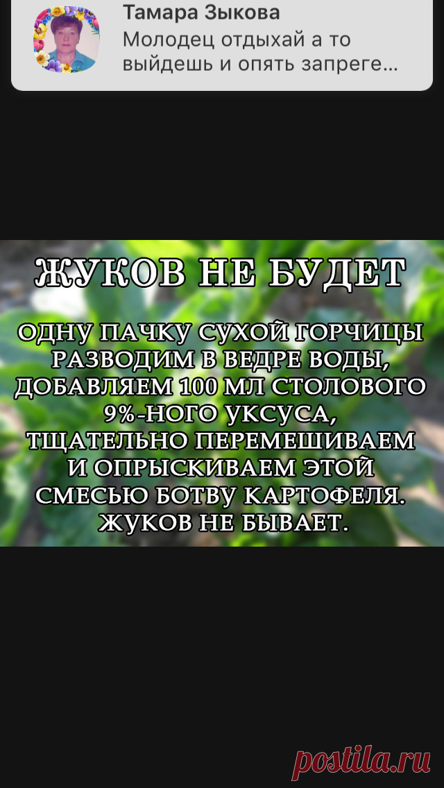 40c83c6ea71afc3efee63b8015cbcdb4.png (640×1136)