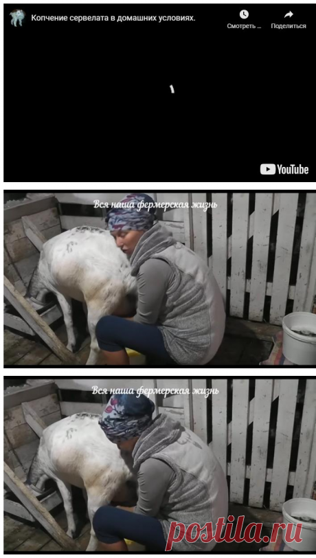 Копчение сервелата в домашних условиях. &amp;#8212; Усадьба Белая Коза