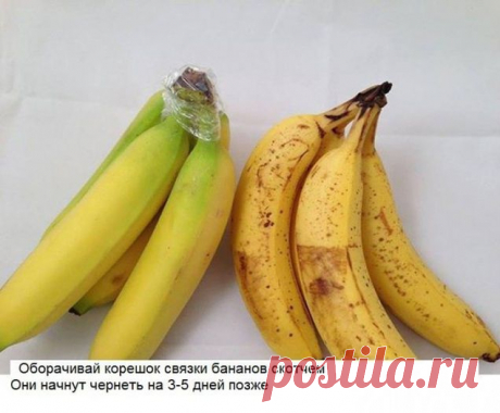 ☛ Копилка ☚ | УОЛ
