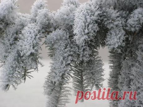 55 «ледяных» фото, которые доказывают, что природа — лучший художник!