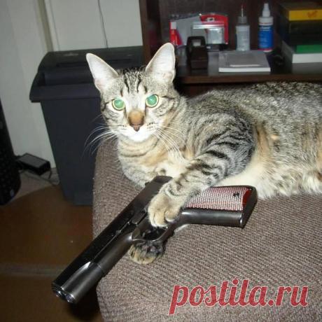 АГЕНТ 007 всегда на посту.