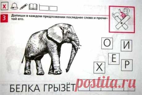 Скоро в школу! Вы готовы к идиотизму?